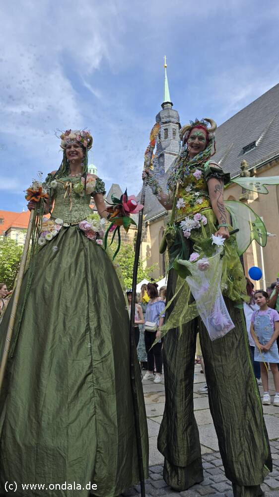 Elbengleiche Wesen als Publikumsmagnet